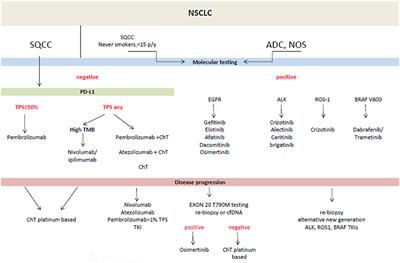 New Frontiers for Molecular Pathology